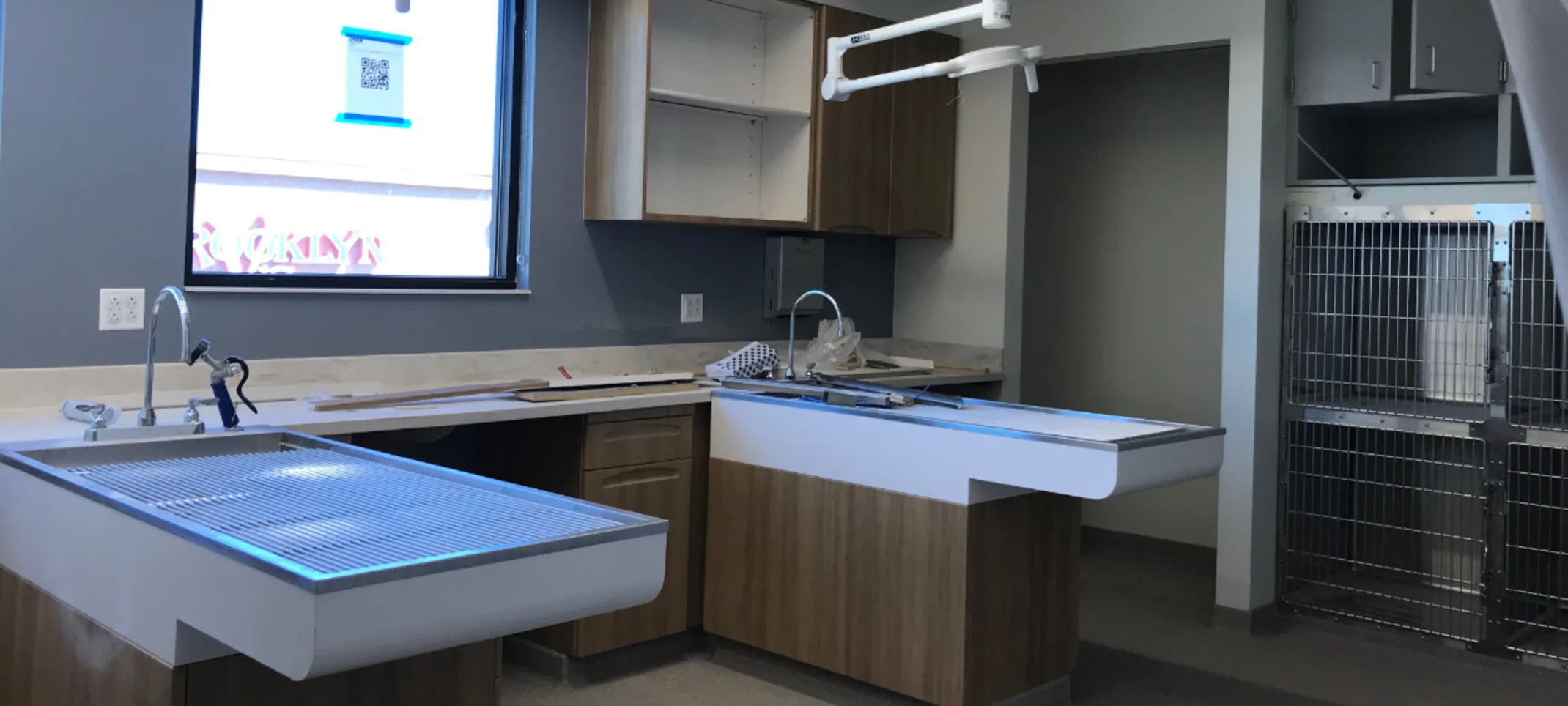 Exam Room at ARISE Veterinary Center - Queen Creek (As of Sept. 2022)